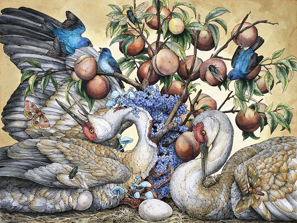 'The Sweet Song of Summer' 2015, ballpoint pen, ink, ink pencils, colored pencil, graphite, and gel pen on hot-pressed watercolor paper, 24 x 18 ¼ inches